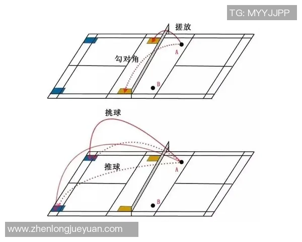 羽毛球新手必看:从基础到战术的全面入门指南 羽毛球新手必看:从基础到战术的全面入门指南