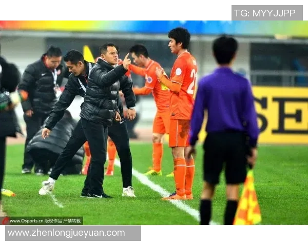 西安排球队团队协作引发热议球迷对战术配合的看法分歧明显 西安排球队团队协作引发热议球迷对战术配合的看法分歧明显