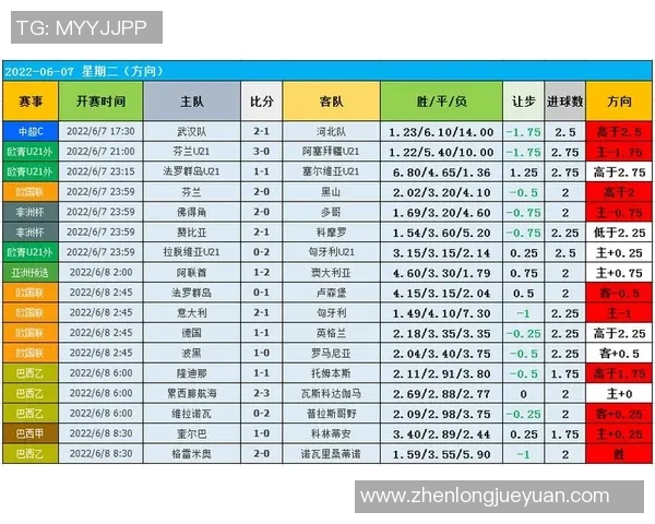 重庆乒乓球队技术表现数据分析与训练策略探讨