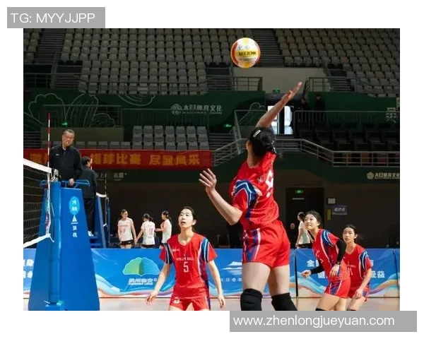 2026排球团队协作排行榜：杭州排球队位居第8名